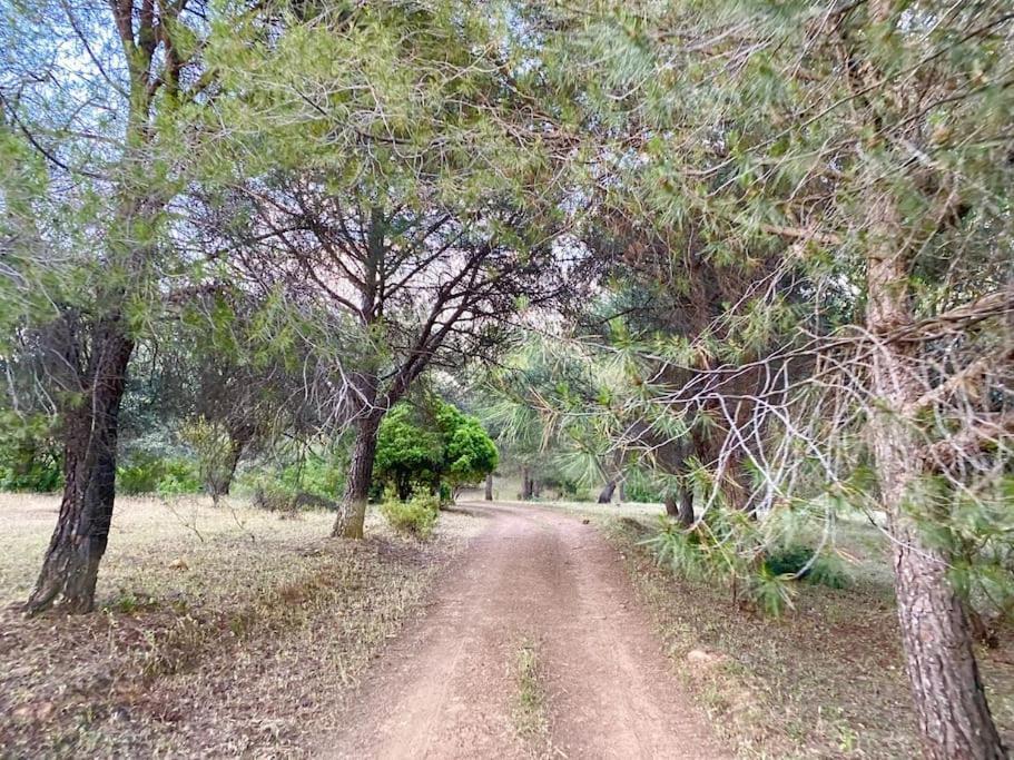 Finca La Alcolehuela En Parque Natural De Despenaperros سانتا ايلينا المظهر الخارجي الصورة