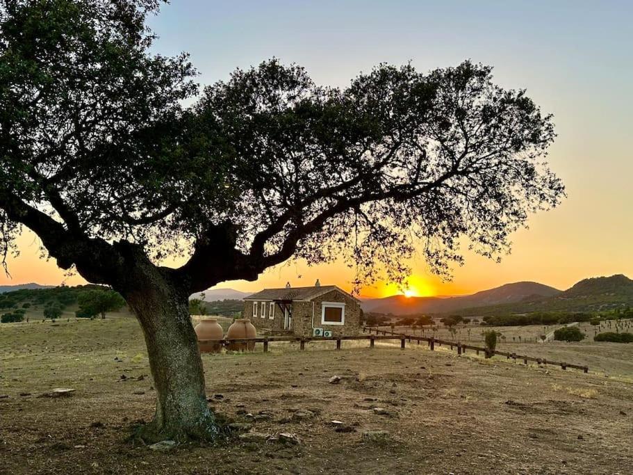 Finca La Alcolehuela En Parque Natural De Despenaperros سانتا ايلينا المظهر الخارجي الصورة
