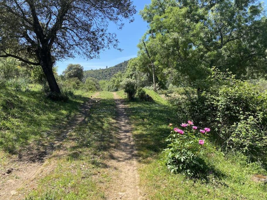 Finca La Alcolehuela En Parque Natural De Despenaperros سانتا ايلينا المظهر الخارجي الصورة