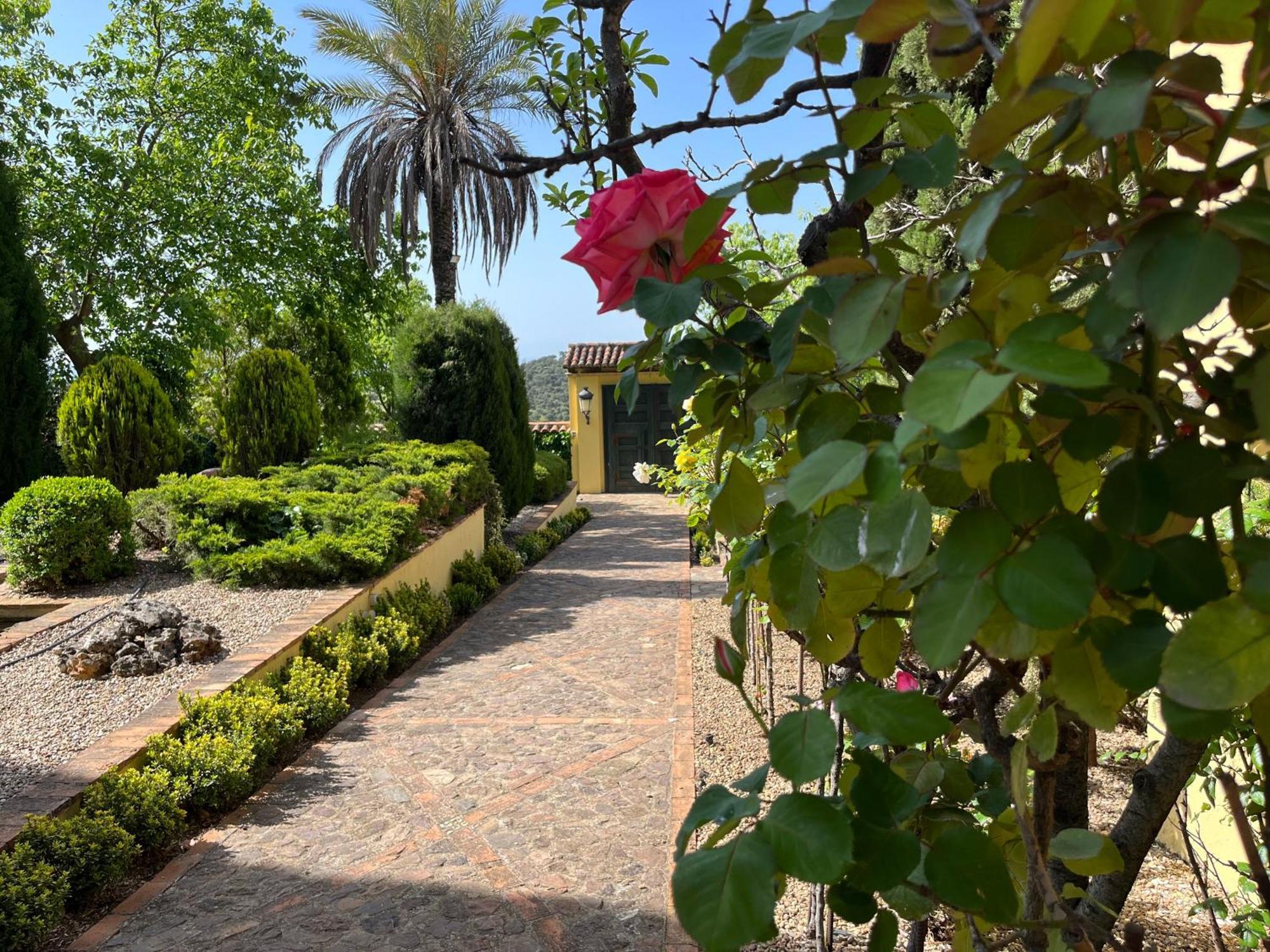 Finca La Alcolehuela En Parque Natural De Despenaperros سانتا ايلينا المظهر الخارجي الصورة